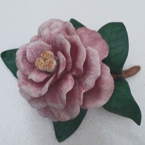 Lennox Camilla flower